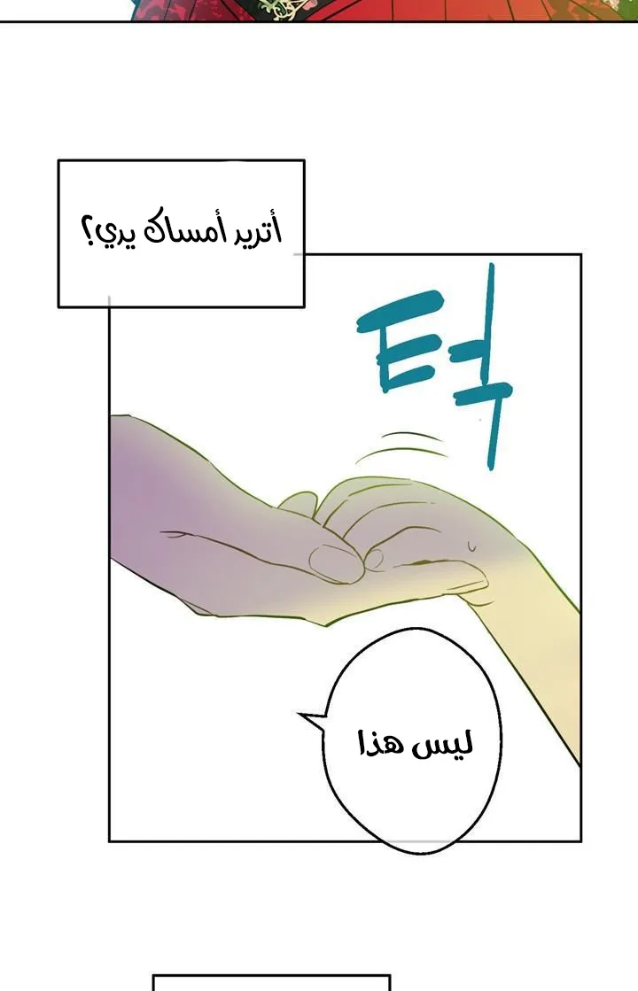 الصفحة 12 من 76