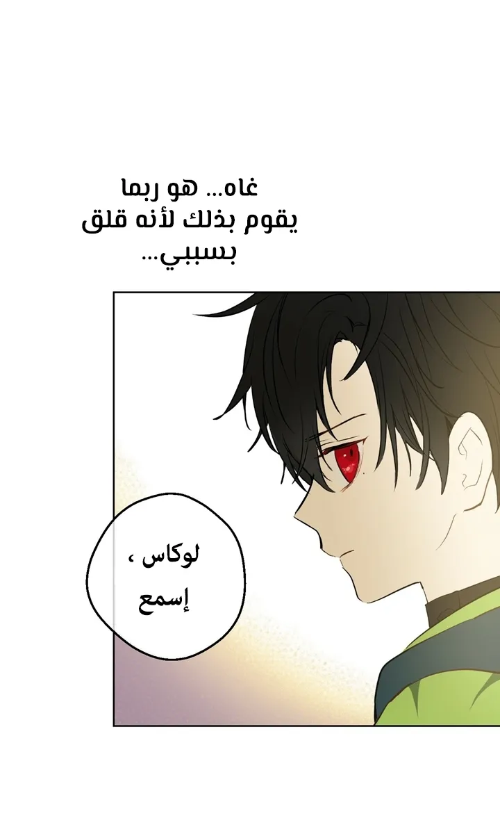 الصفحة 19 من 65