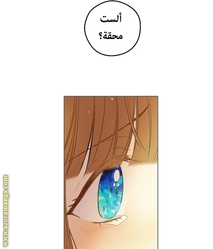 الصفحة 36 من 65