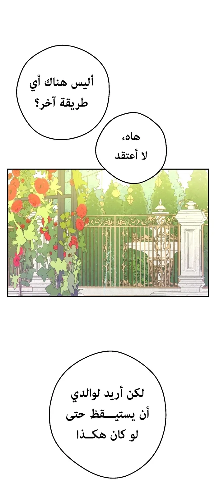 الصفحة 49 من 65