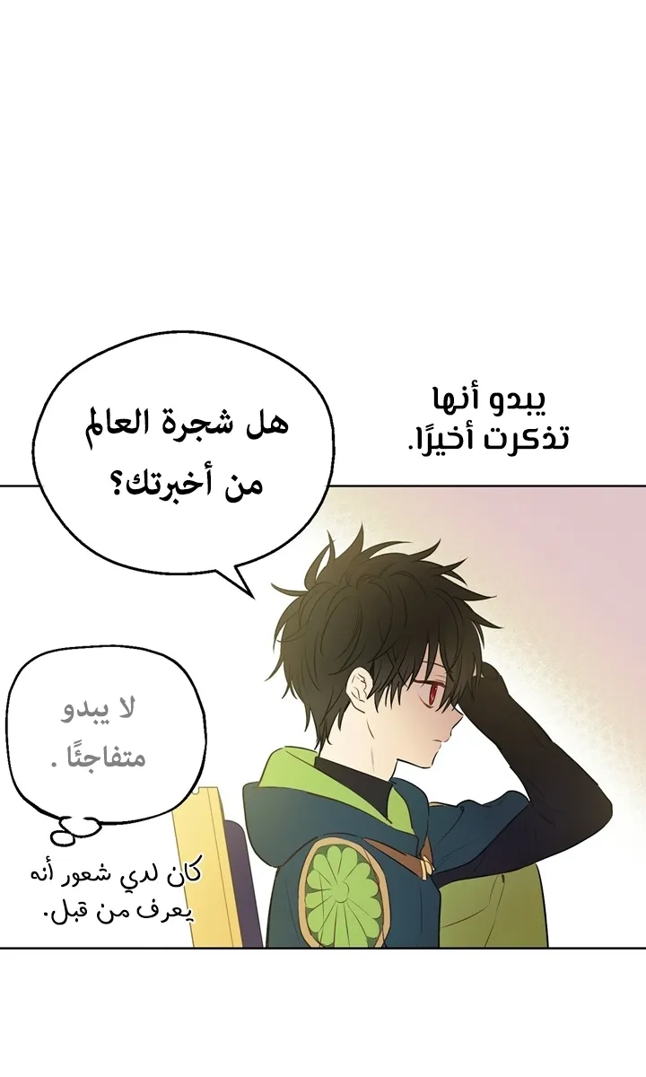 الصفحة 26 من 65