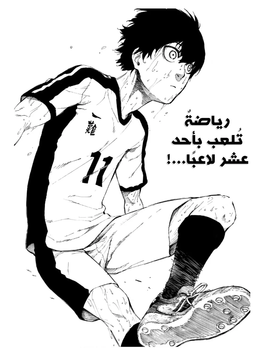الصفحة 21 من 80