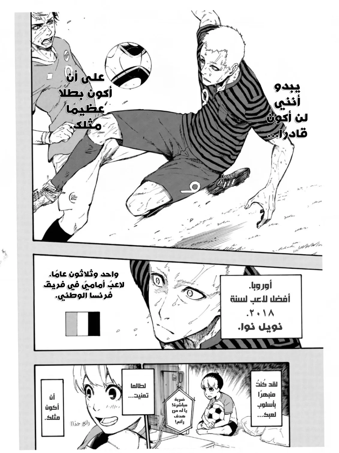 الصفحة 31 من 80