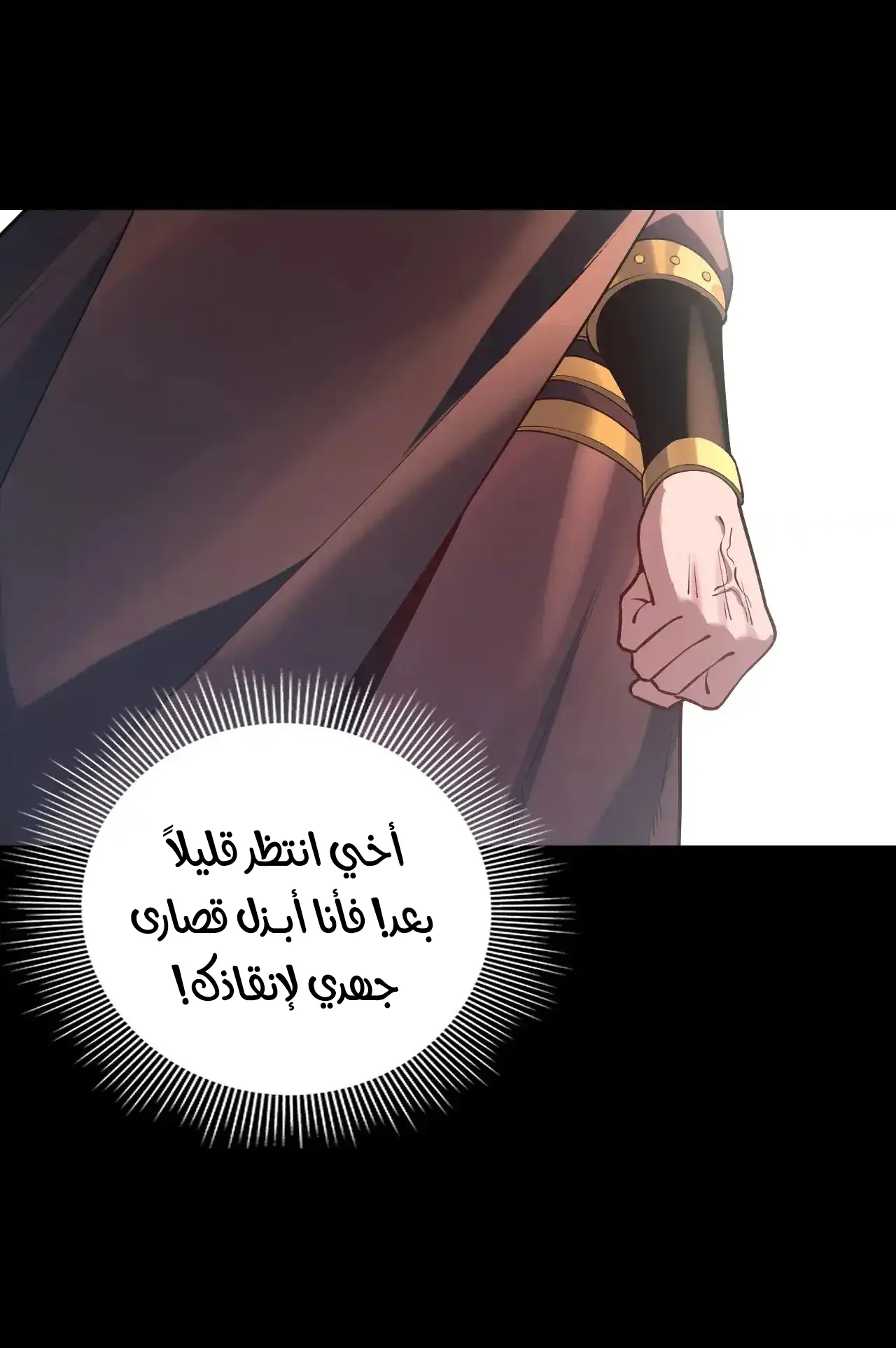 الصفحة 28 من 91