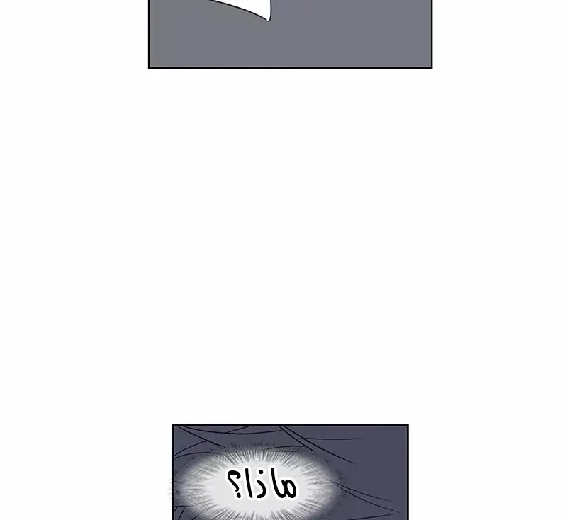 الصفحة 15 من 93