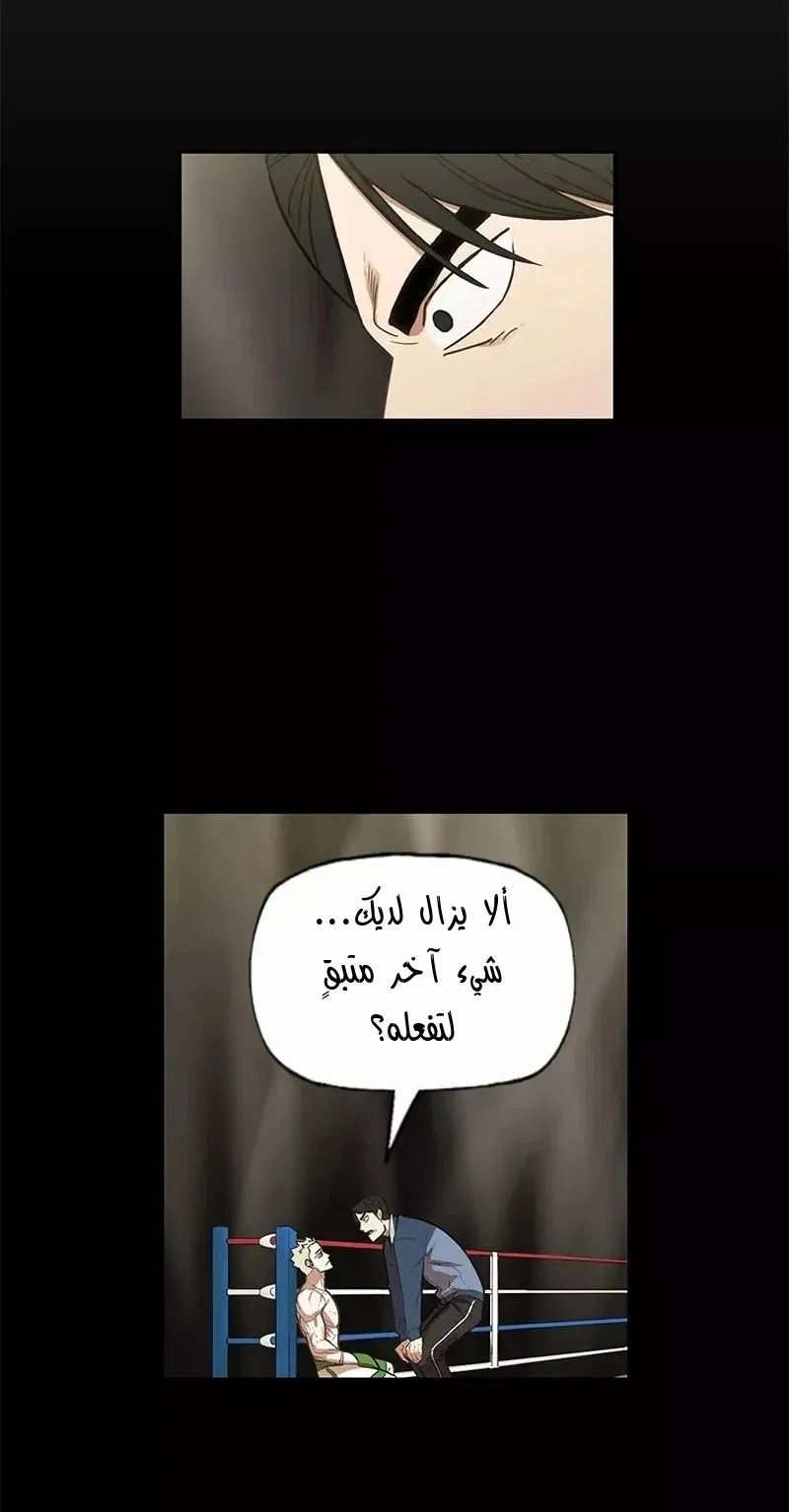 الصفحة 42 من 93