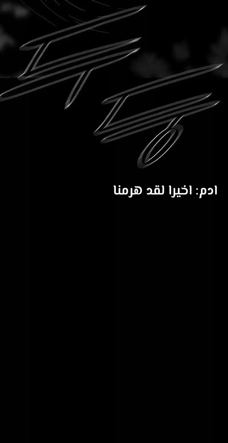 الصفحة 81 من 81