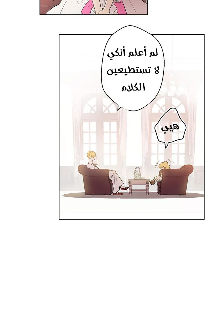 الصفحة 12 من 58