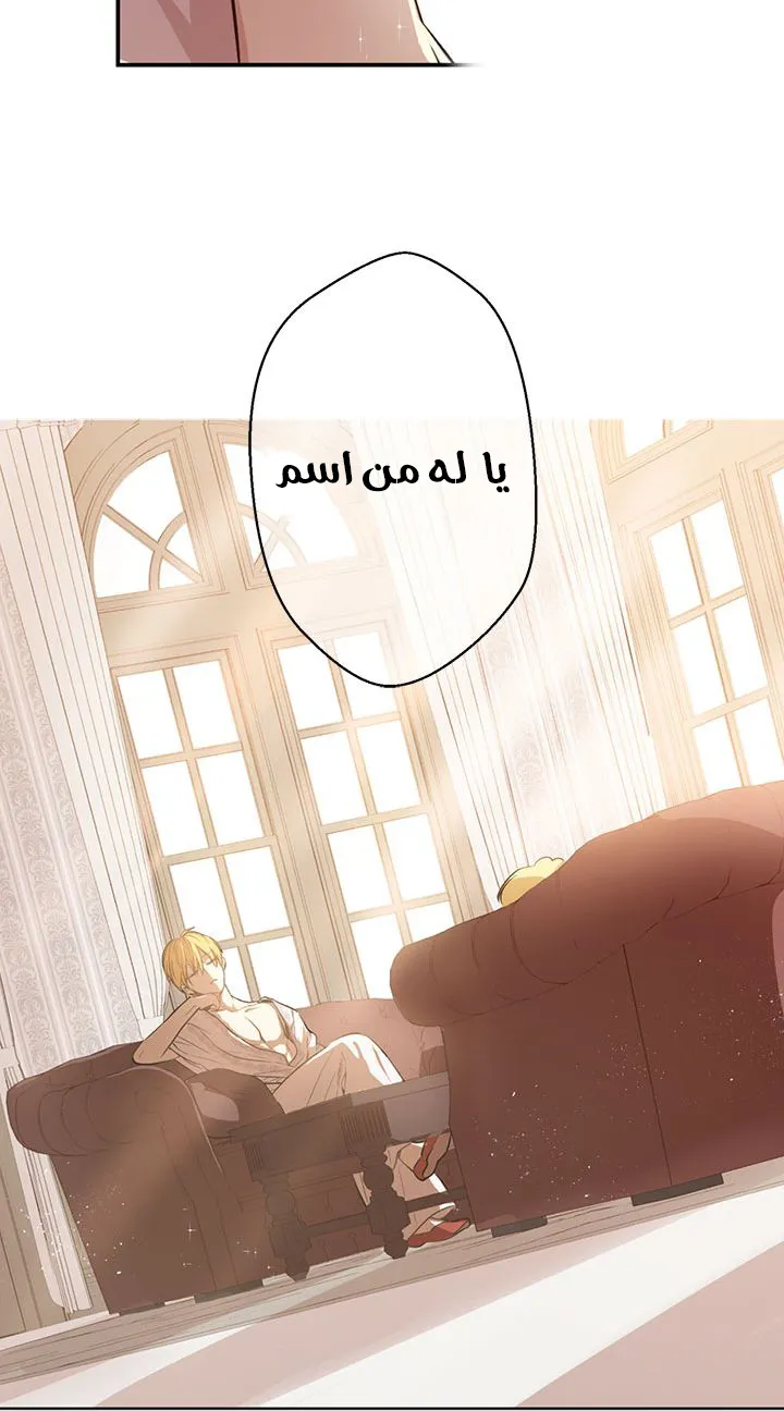 الصفحة 25 من 58