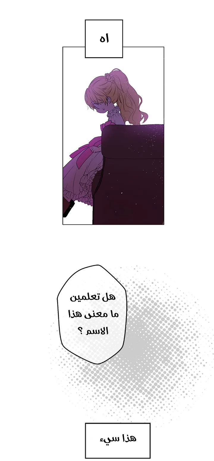 الصفحة 26 من 58