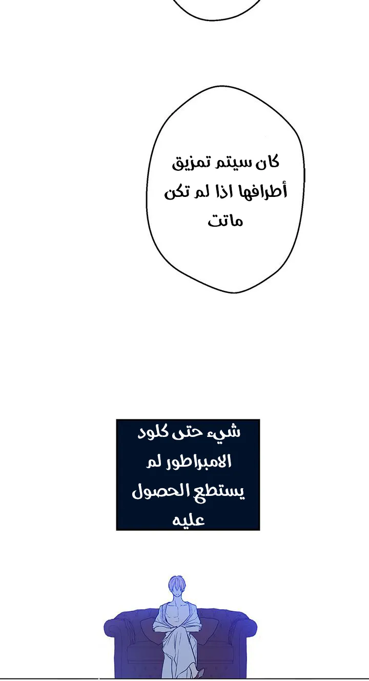 الصفحة 29 من 58