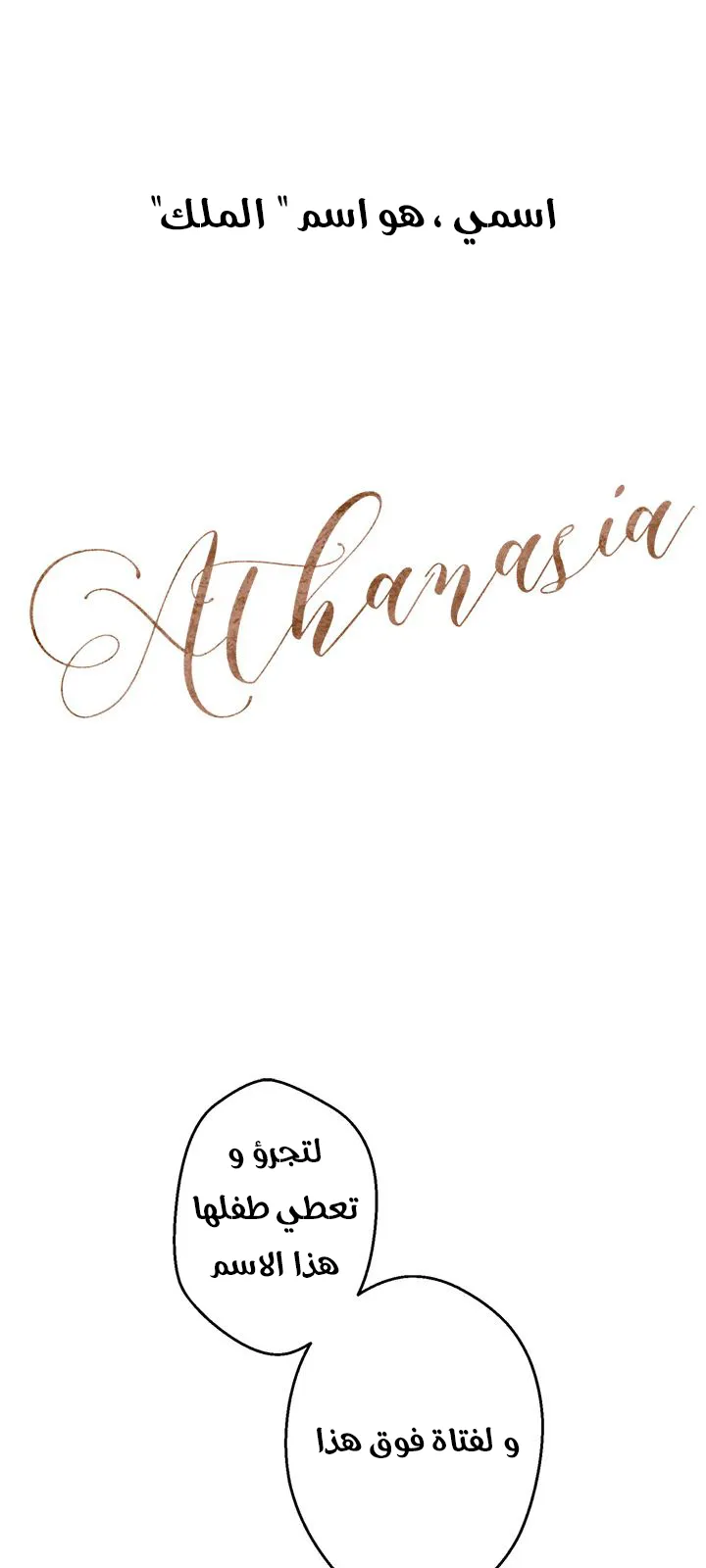 الصفحة 28 من 58