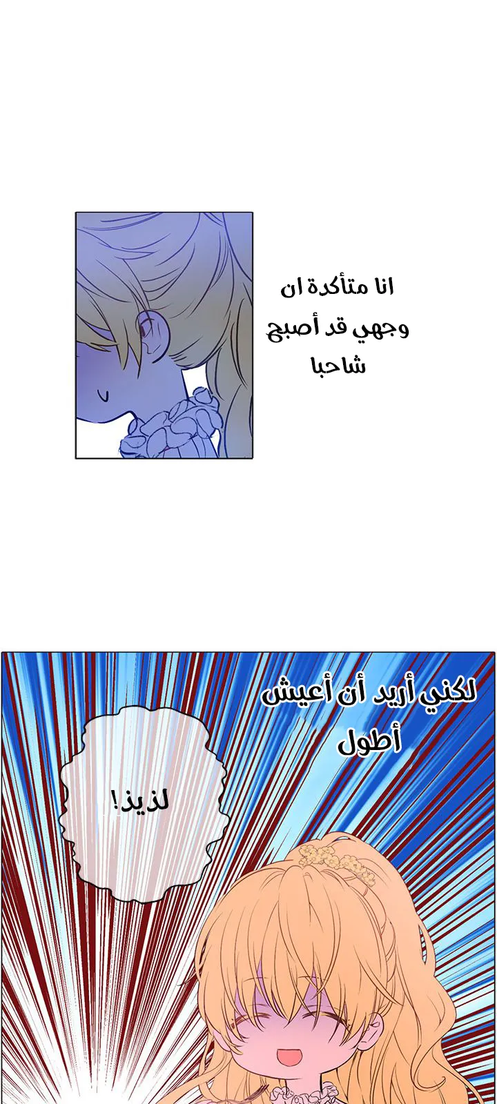 الصفحة 38 من 58