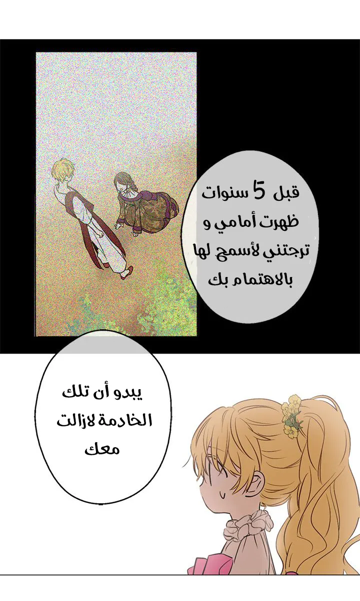 الصفحة 43 من 58