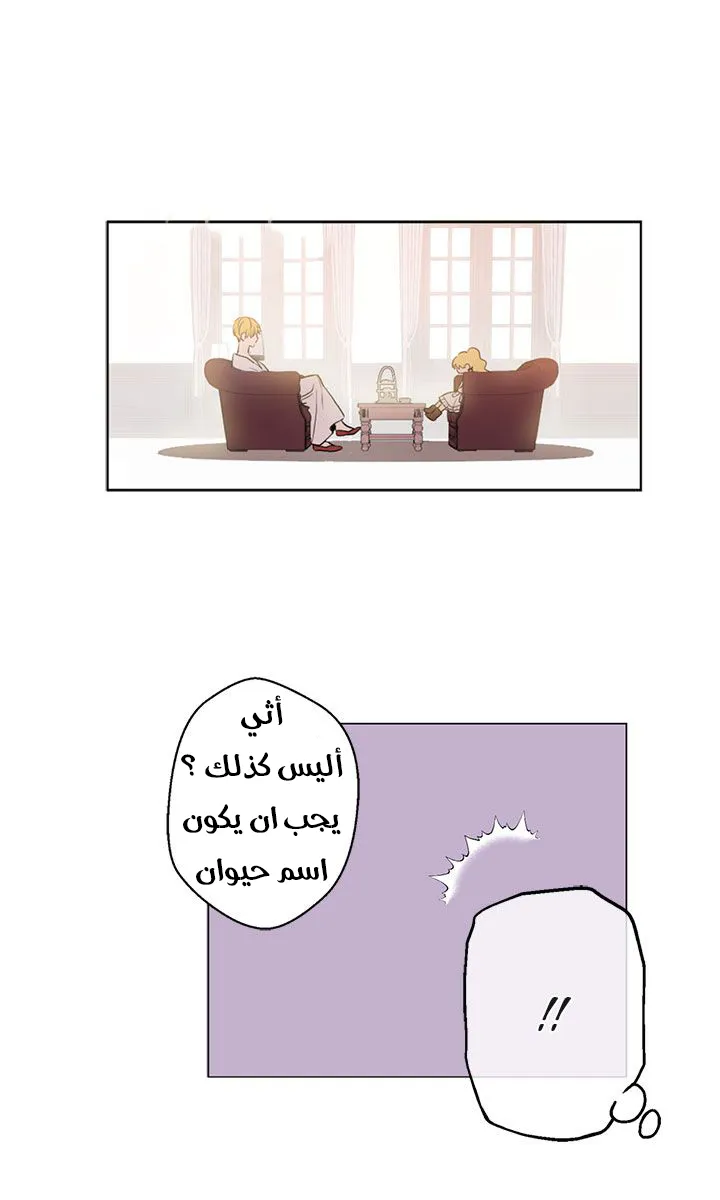 الصفحة 23 من 58