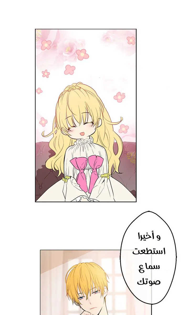 الصفحة 15 من 58