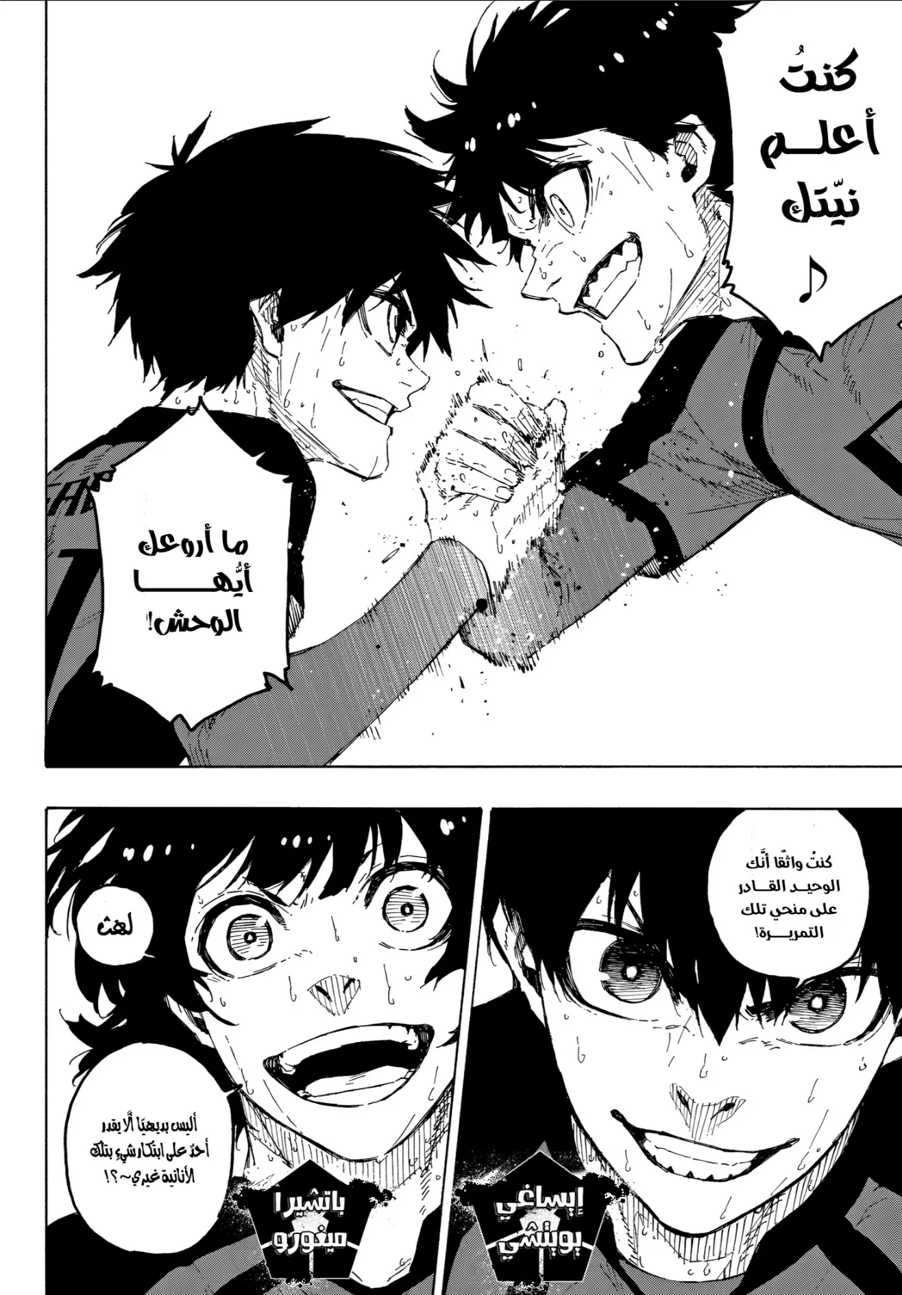 الصفحة 3 من 17