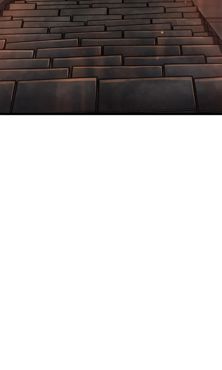 الصفحة 12 من 114