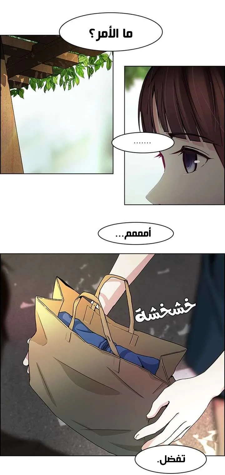 الصفحة 24 من 50