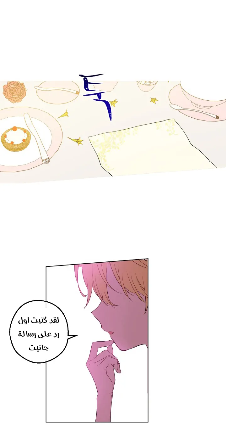 الصفحة 48 من 53
