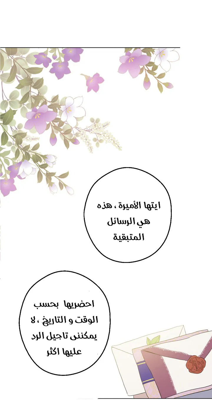 الصفحة 26 من 53