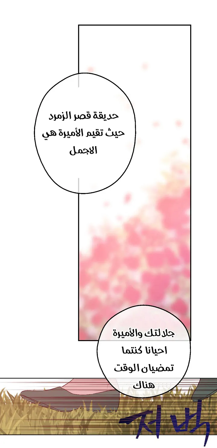 الصفحة 42 من 53