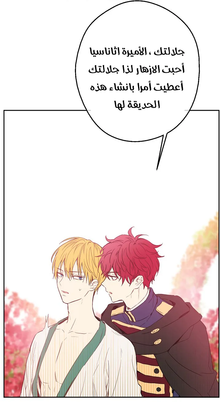الصفحة 41 من 53