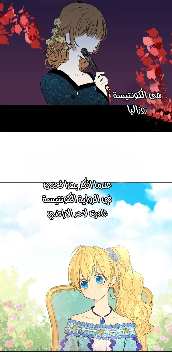 الصفحة 51 من 53