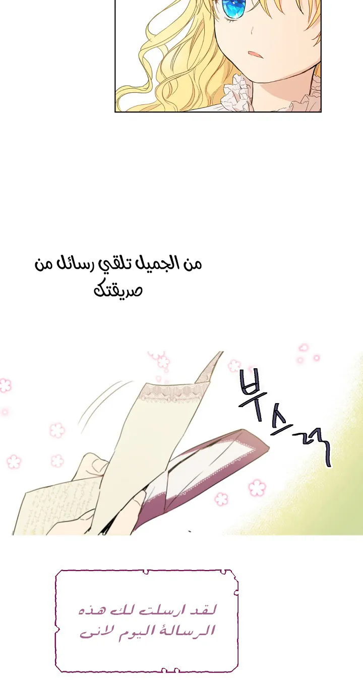 الصفحة 28 من 53