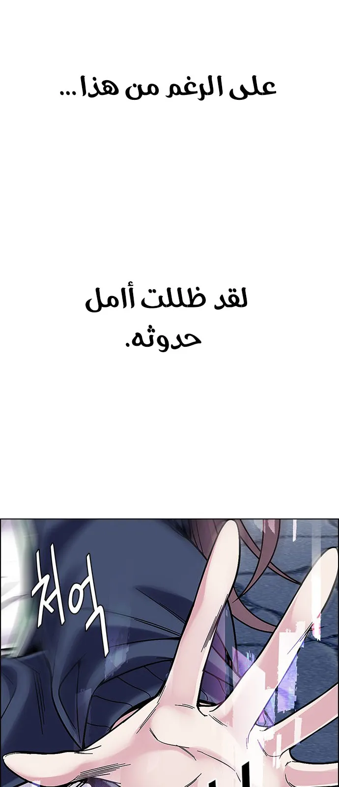 الصفحة 24 من 83