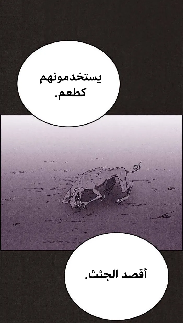 الصفحة 46 من 84