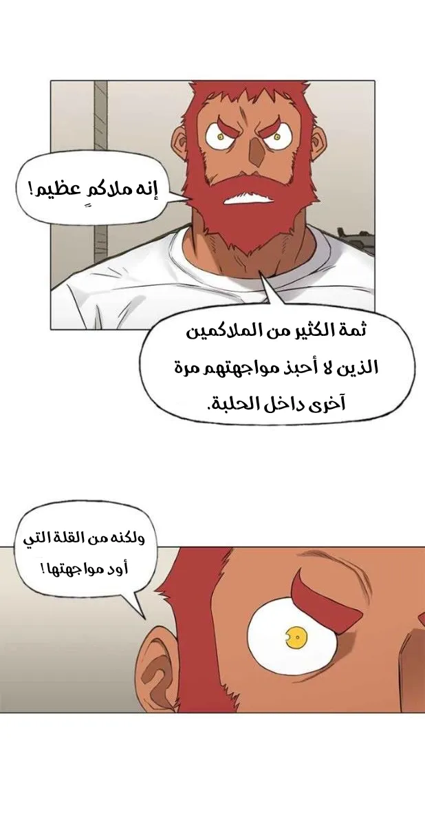 الصفحة 35 من 56