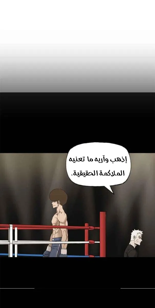 الصفحة 26 من 56