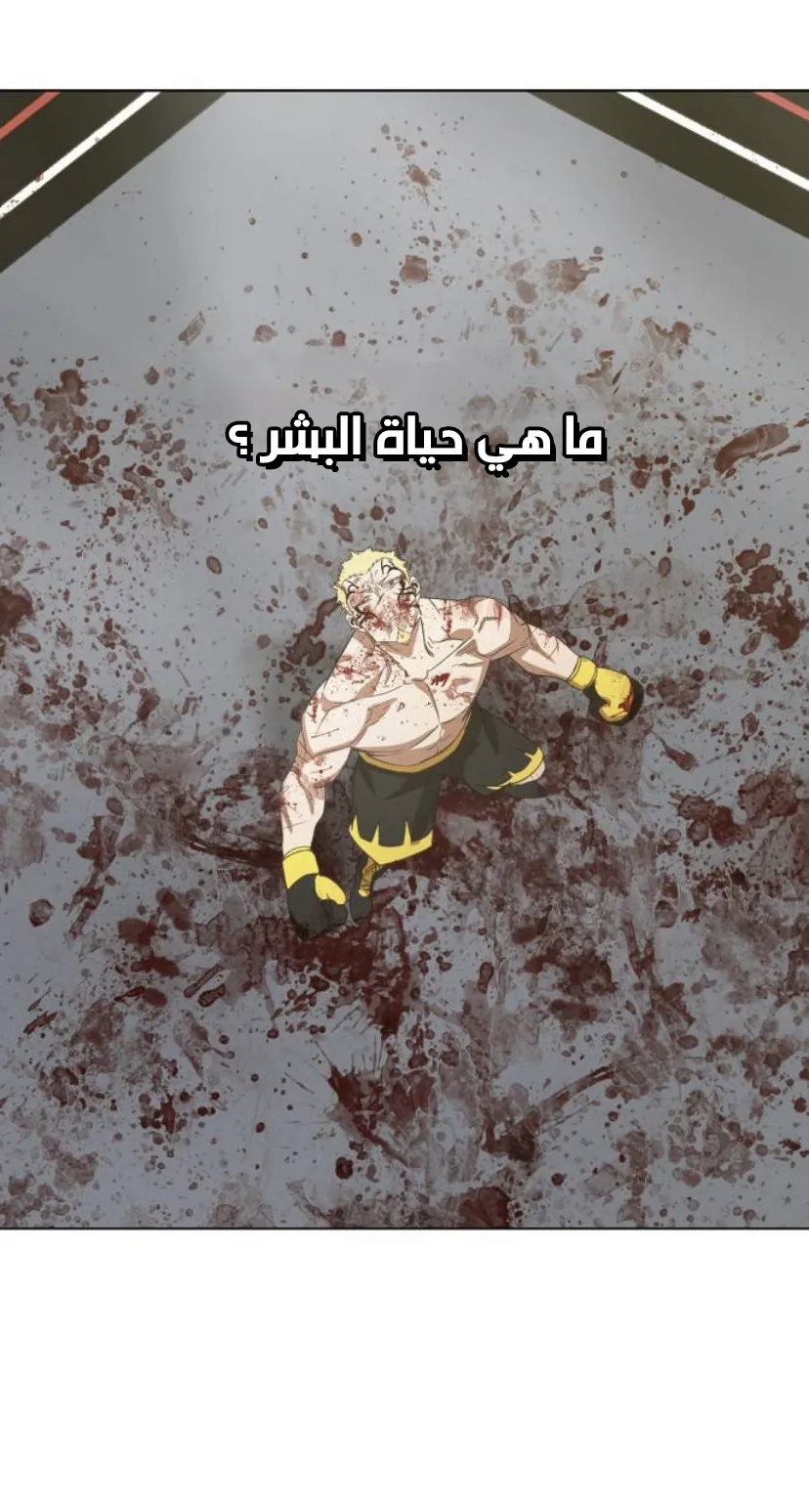 الصفحة 41 من 120