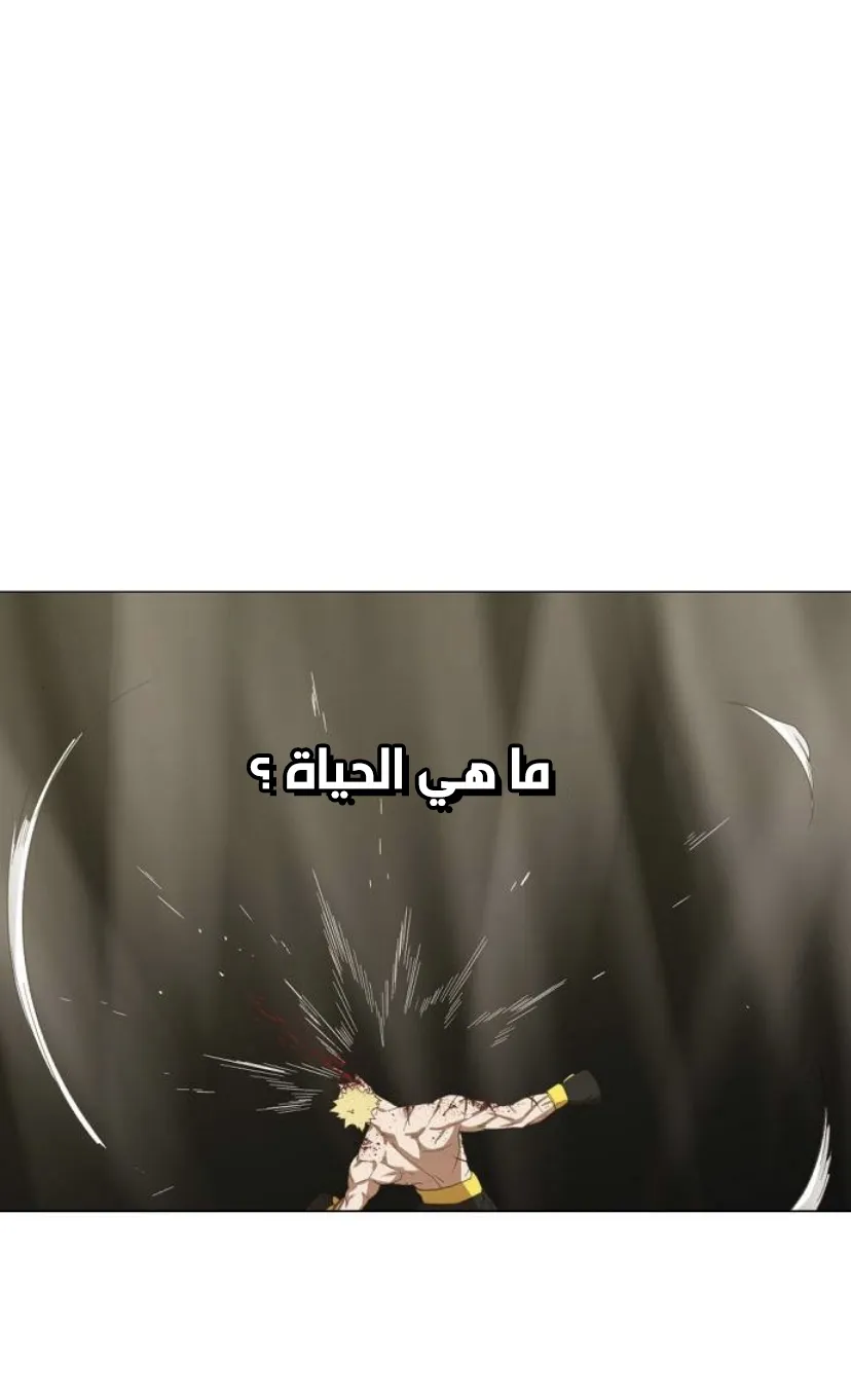الصفحة 38 من 120