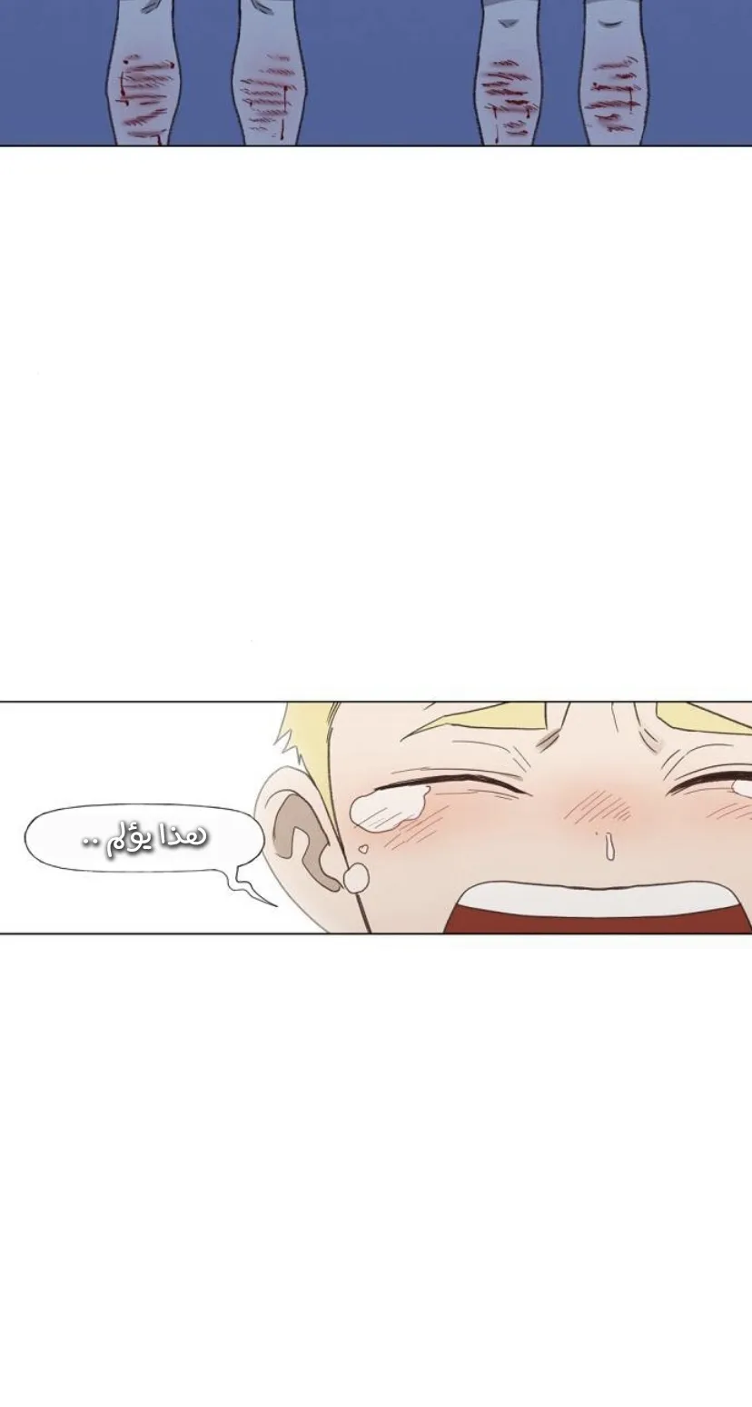 الصفحة 45 من 120