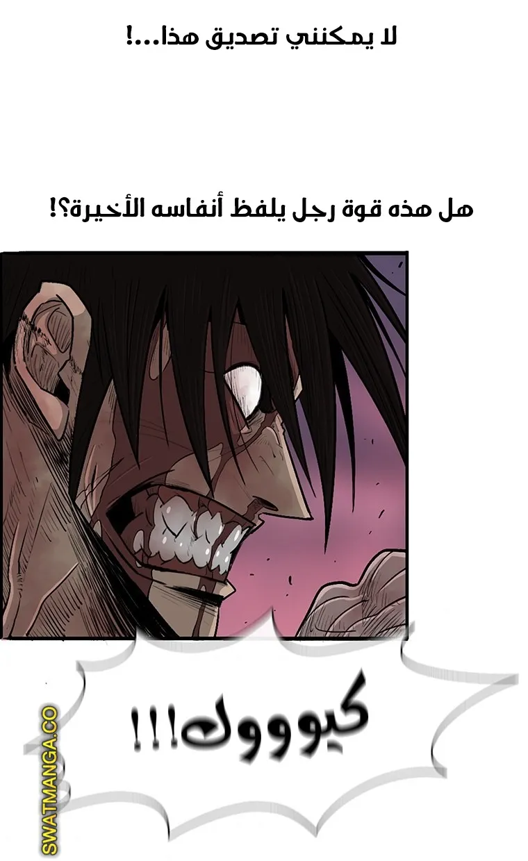 الصفحة 51 من 81