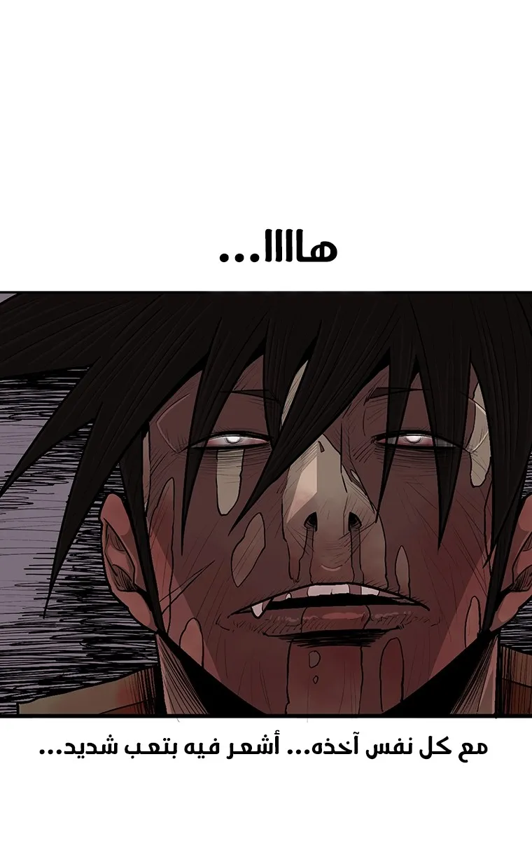 الصفحة 66 من 81