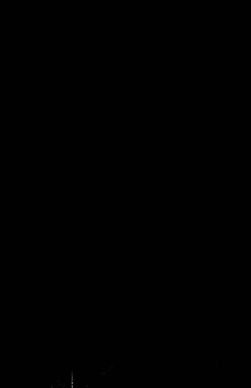 الصفحة 48 من 98