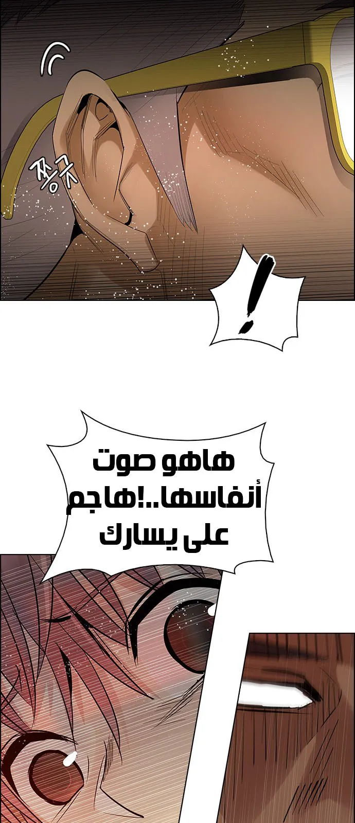 الصفحة 43 من 63