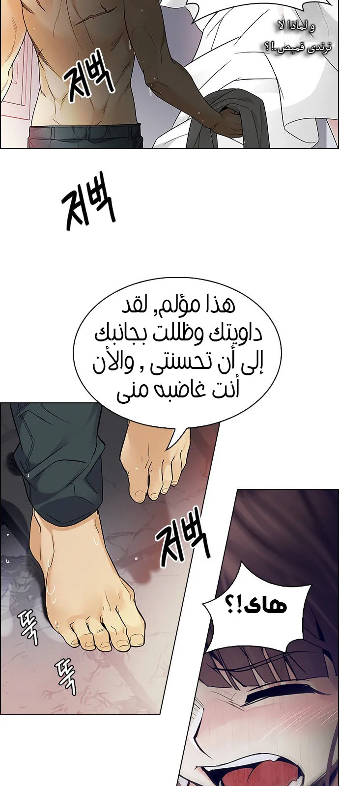 الصفحة 12 من 63