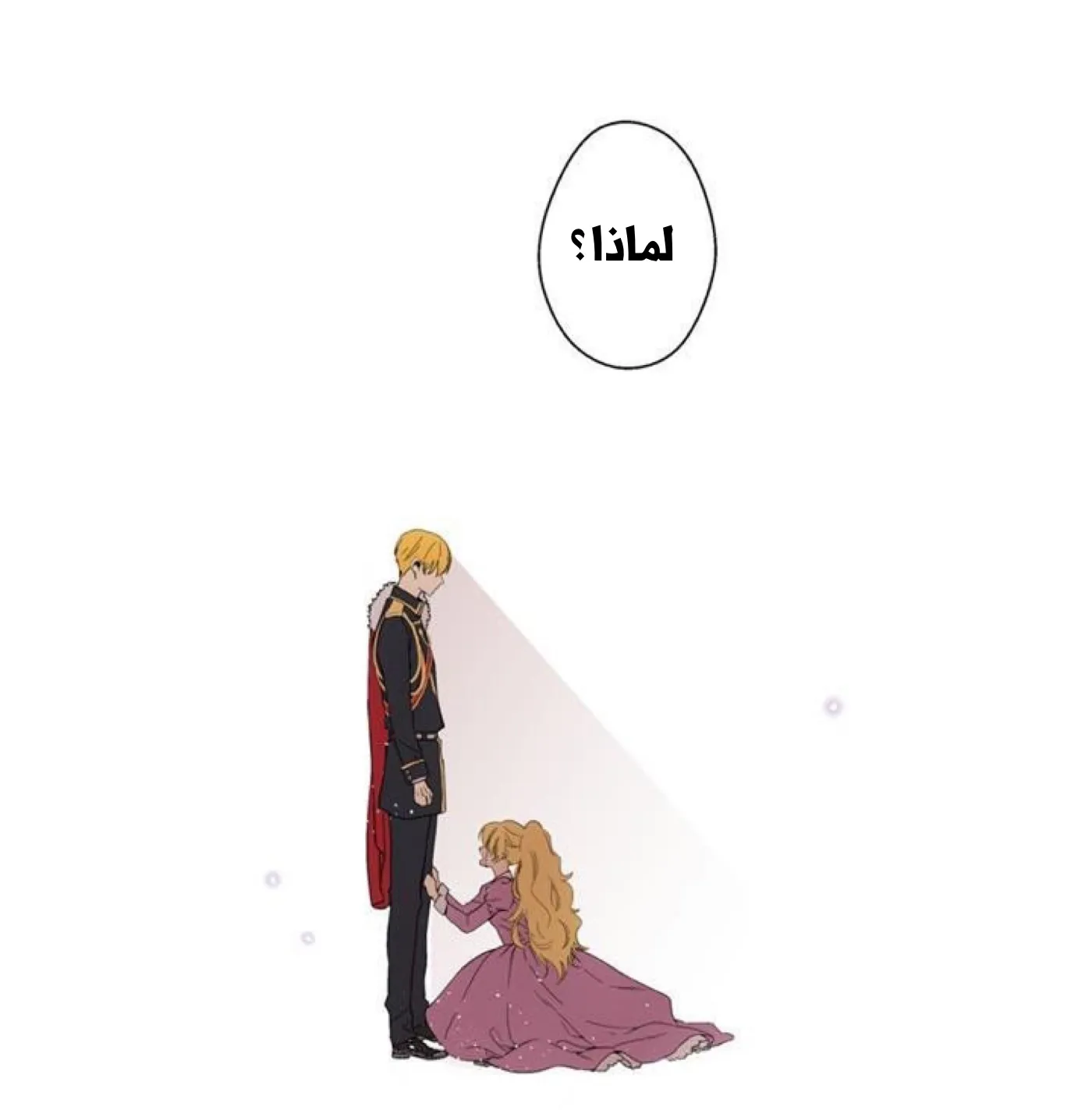 الصفحة 12 من 56