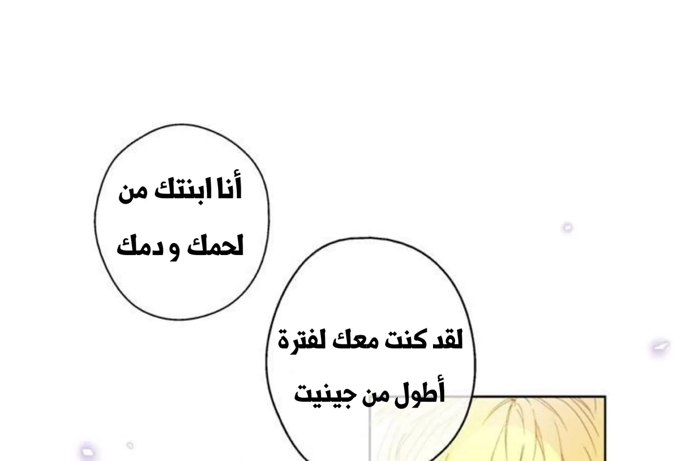الصفحة 13 من 56