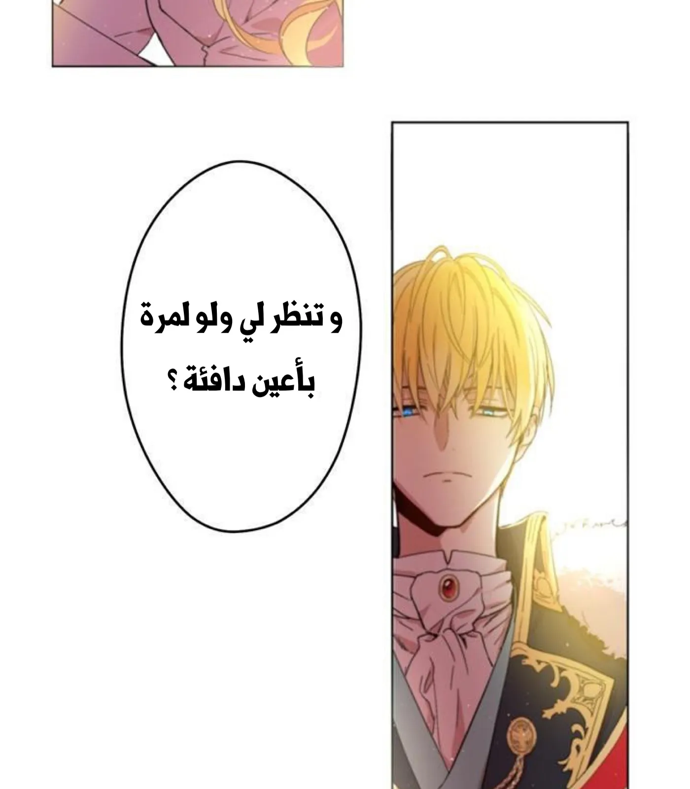 الصفحة 8 من 56