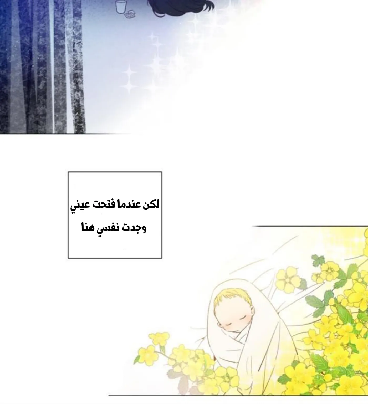 الصفحة 45 من 56