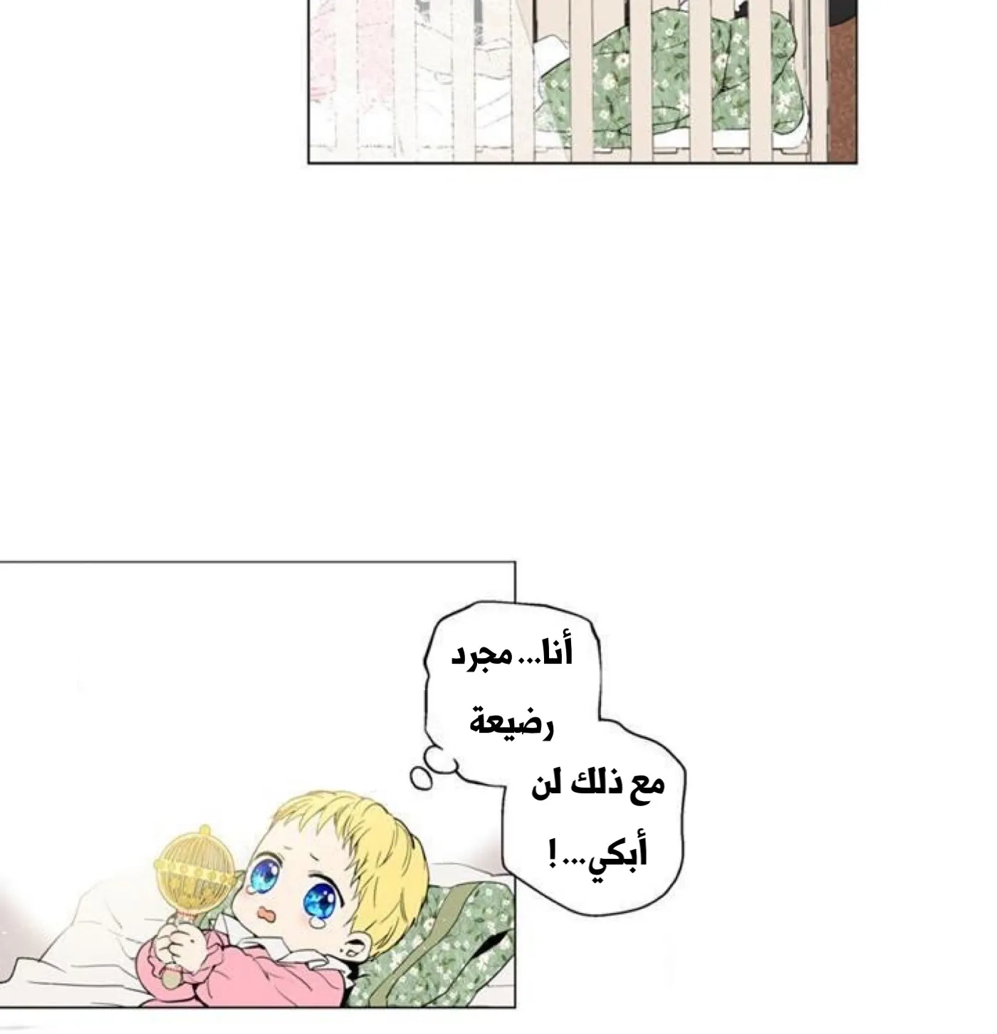 الصفحة 51 من 56