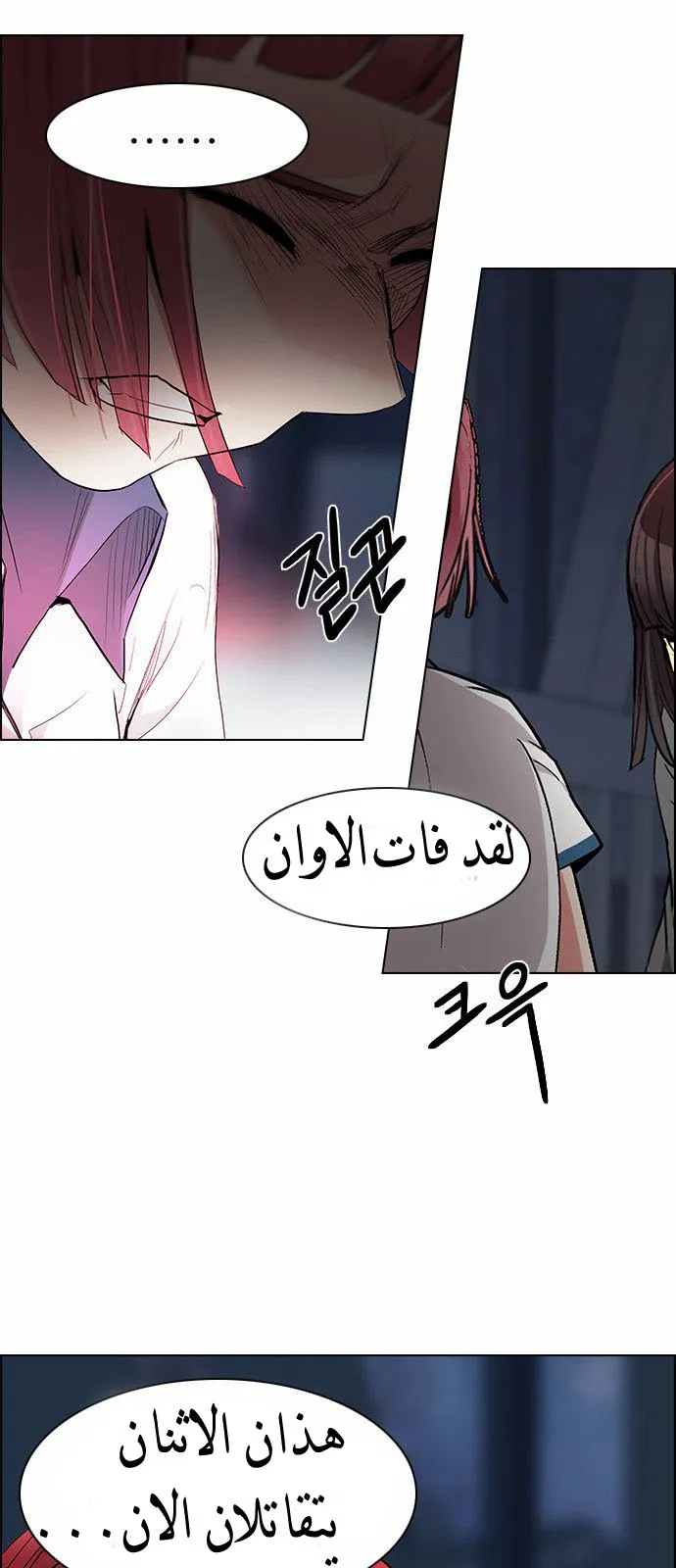 الصفحة 29 من 65