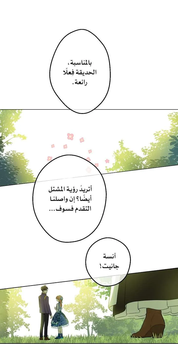 الصفحة 51 من 71
