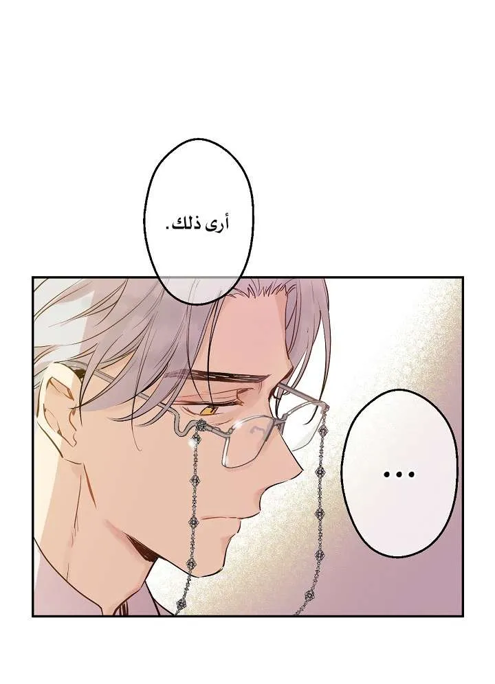 الصفحة 61 من 71