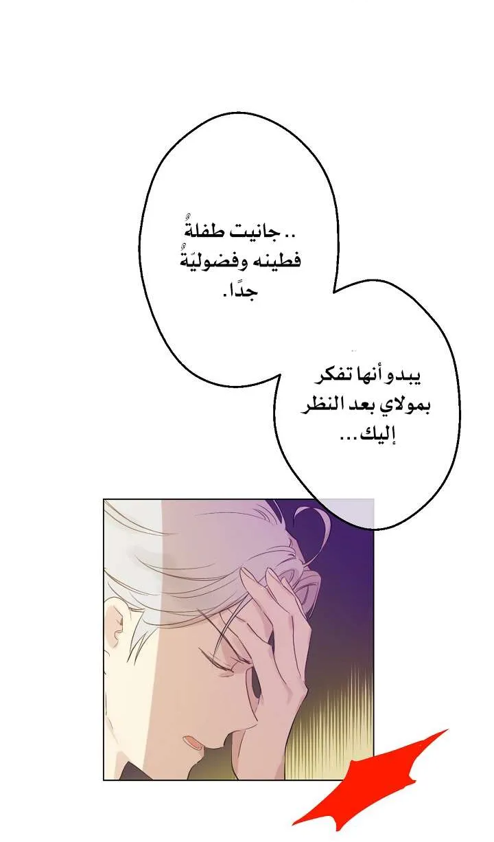 الصفحة 15 من 71